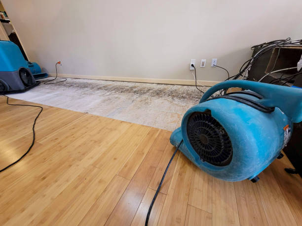 Professional Water Removal technician working in Lincoln, ME